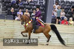 23R13_12466 proof