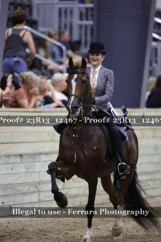 Proof 23R13_12467