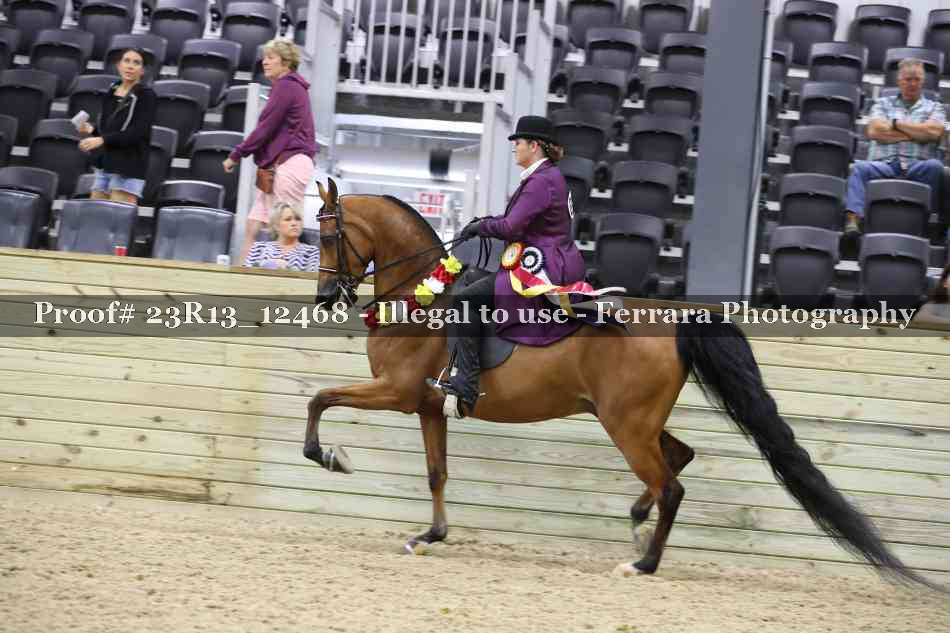 Proof 23R13_12468