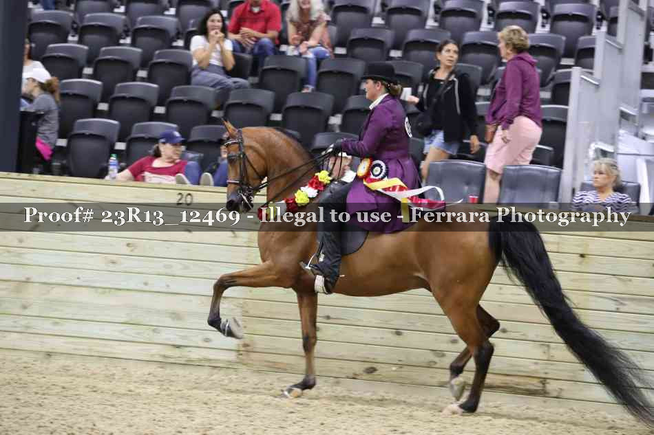 Proof 23R13_12469