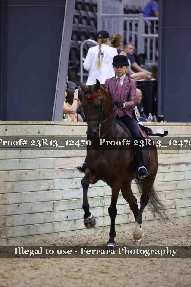 Proof 23R13_12470