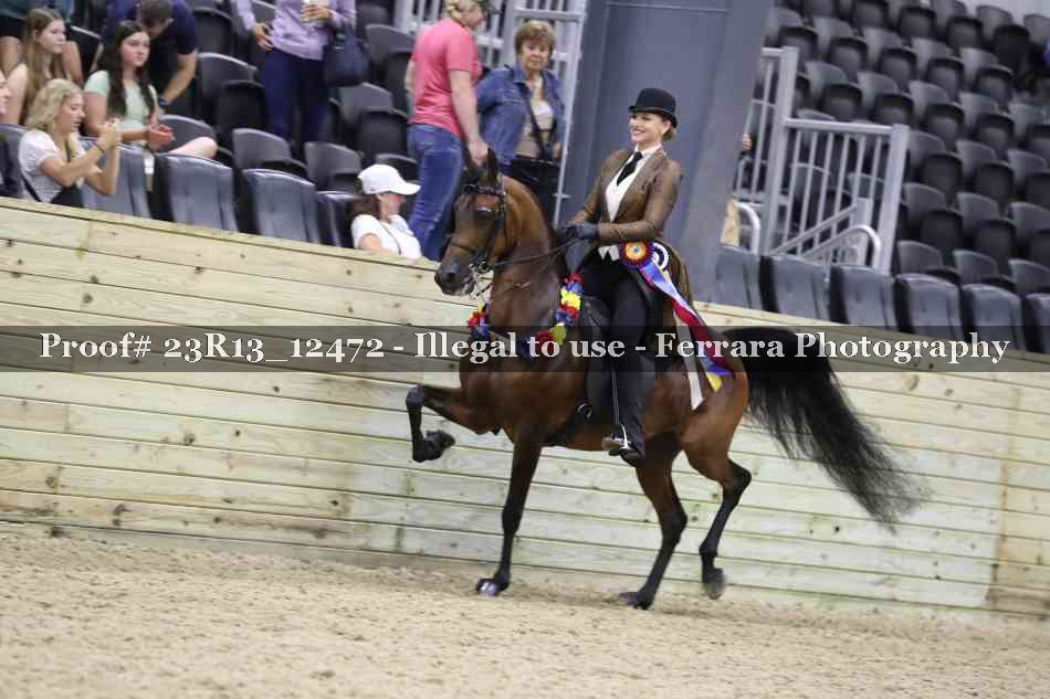 Proof 23R13_12472