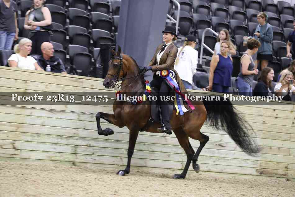 Proof 23R13_12475