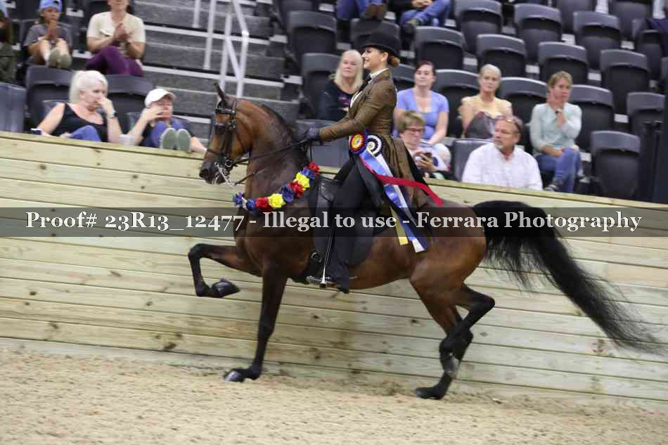 Proof 23R13_12477