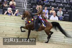 23R13_12477 proof