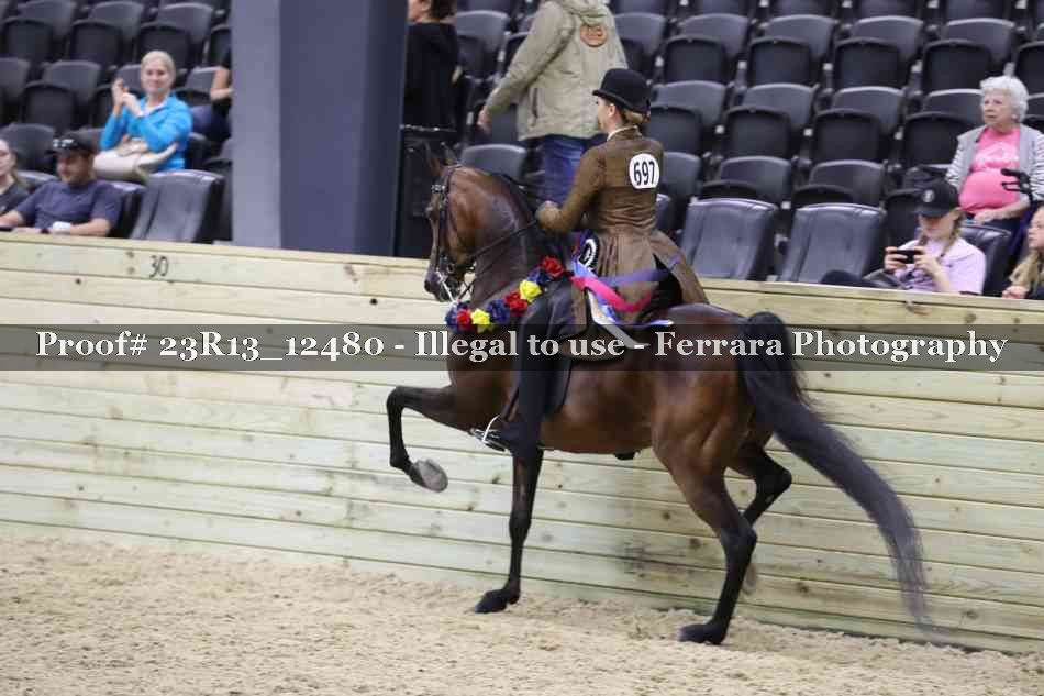 Proof 23R13_12480