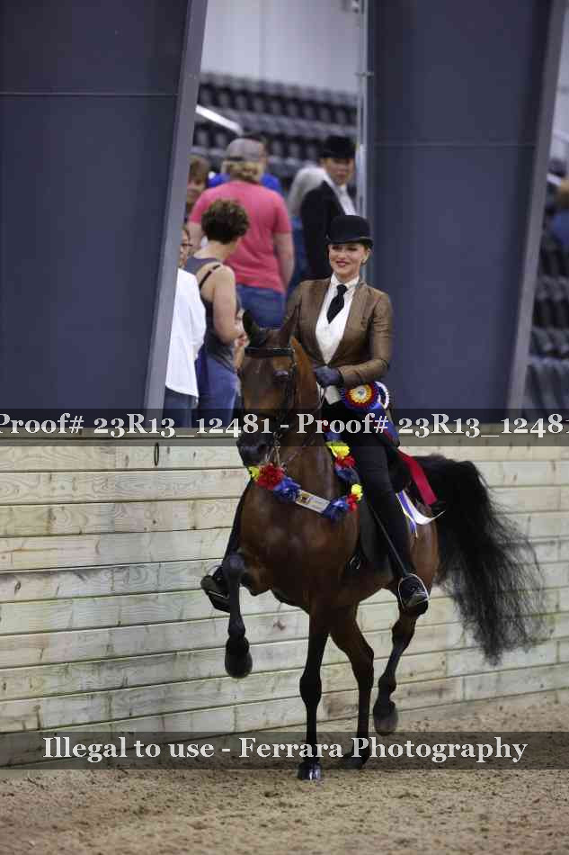 Proof 23R13_12481