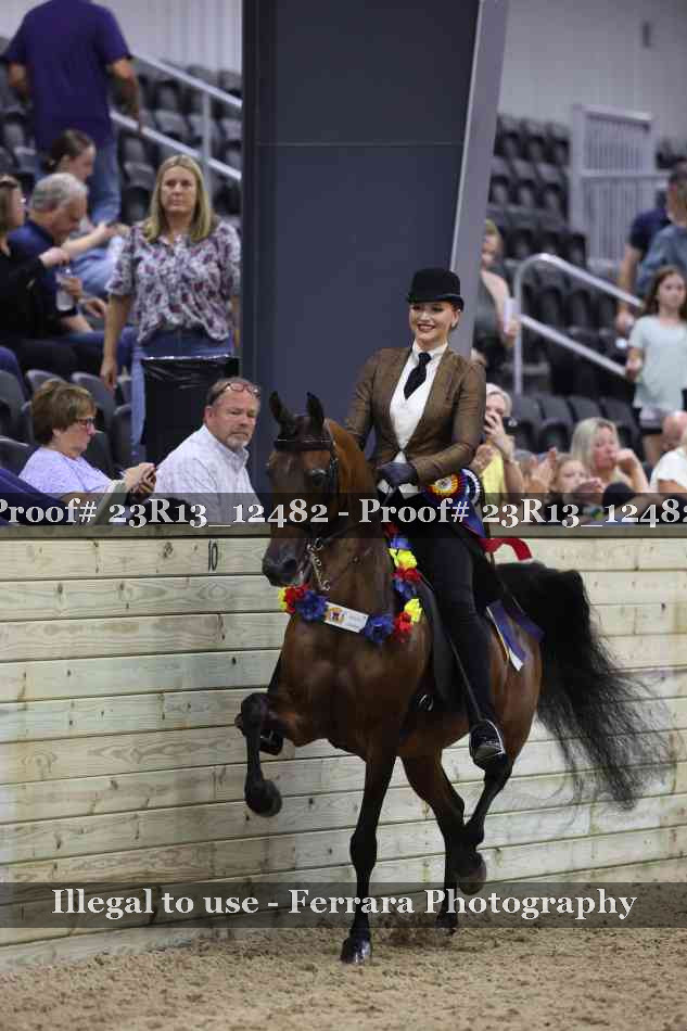 Proof 23R13_12482