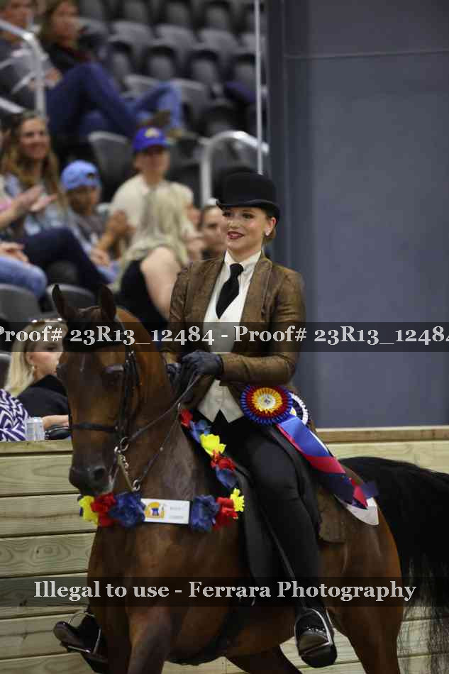 Proof 23R13_12484