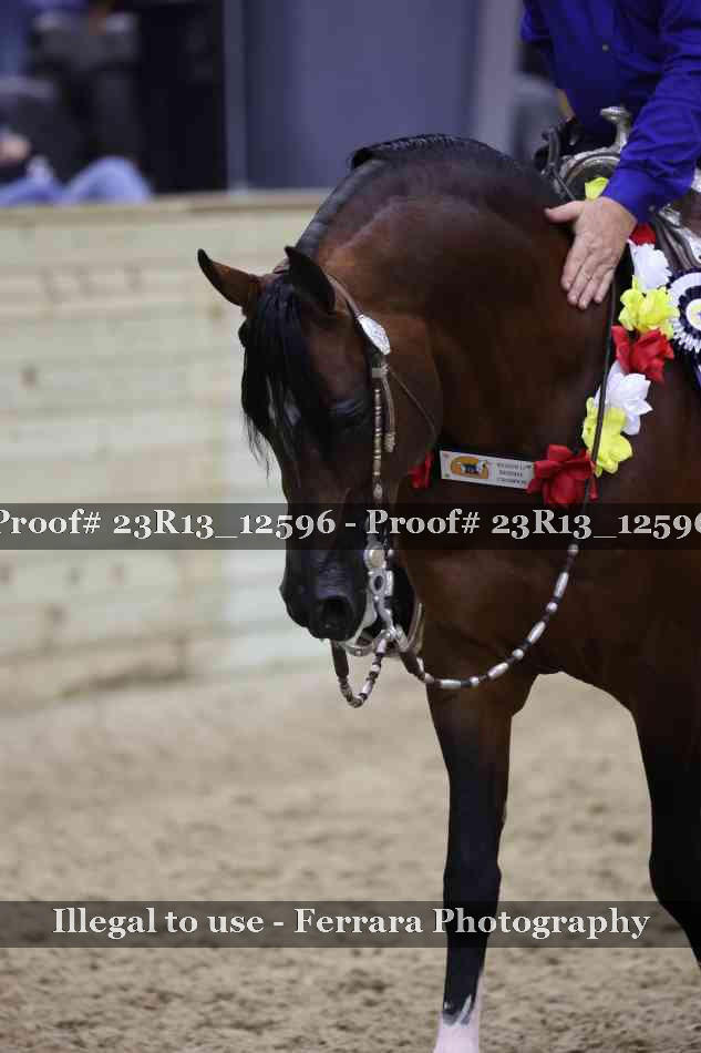 Proof 23R13_12596