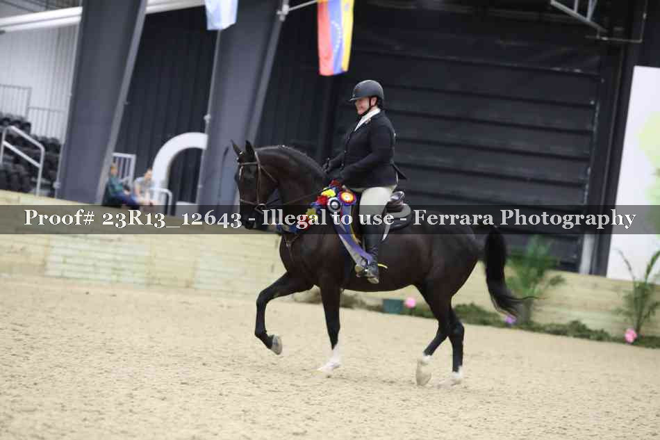 Proof 23R13_12643