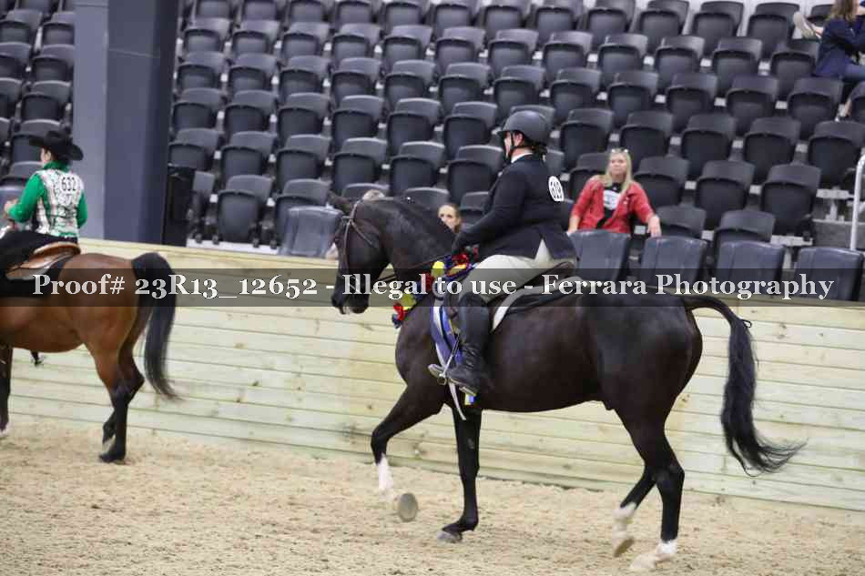 Proof 23R13_12652