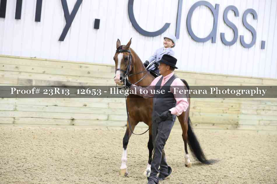 Proof 23R13_12653