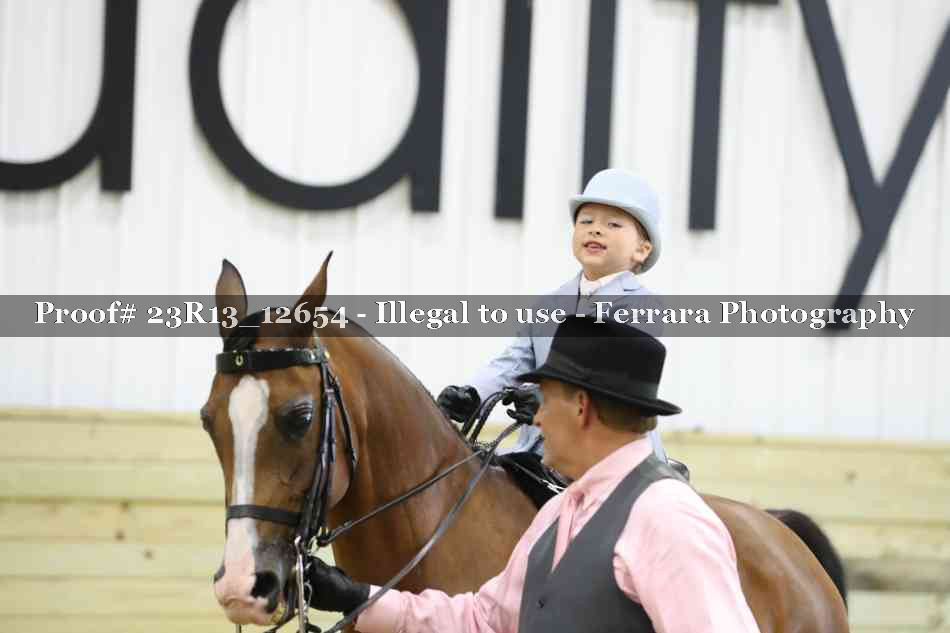 Proof 23R13_12654