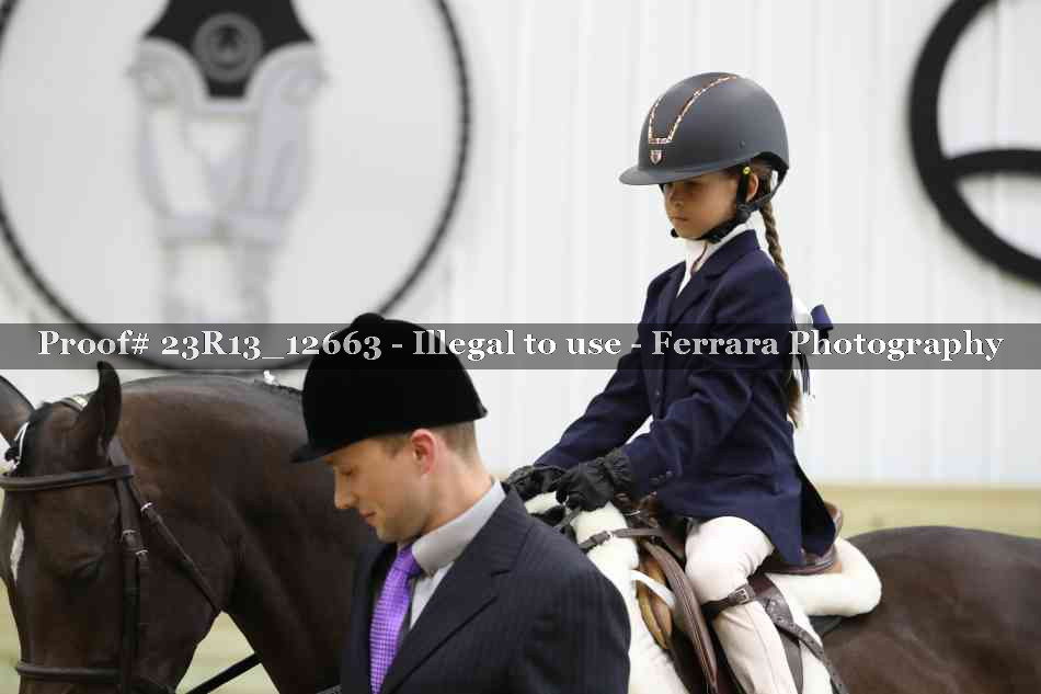 Proof 23R13_12663