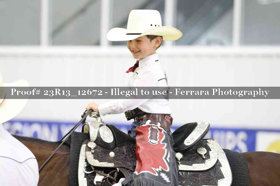 Proof 23R13_12672