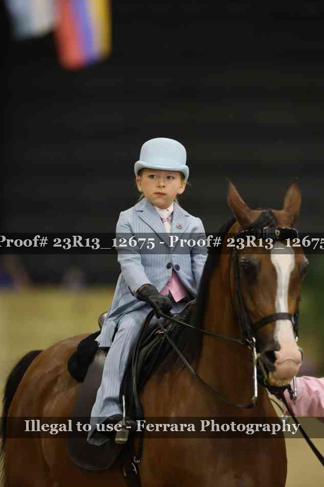 Proof 23R13_12675