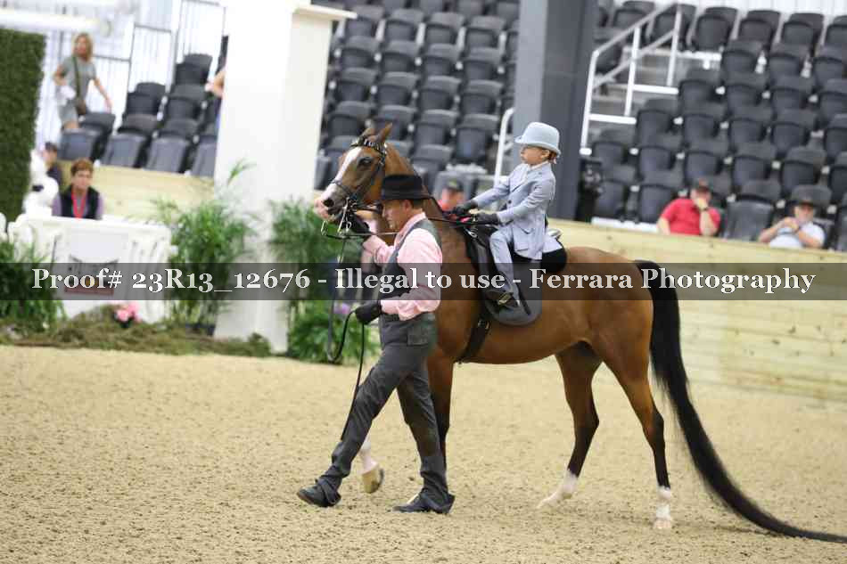 Proof 23R13_12676