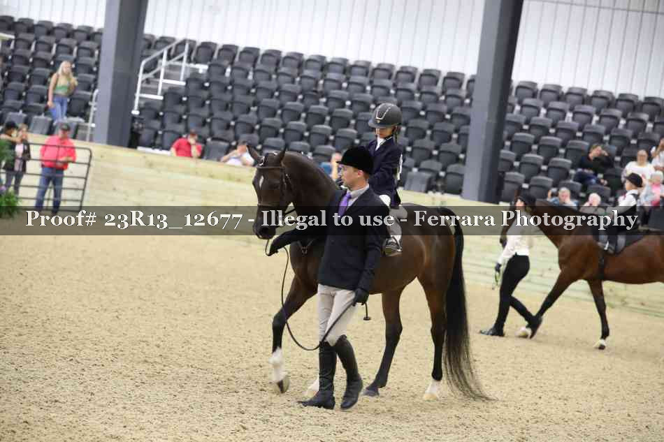 Proof 23R13_12677