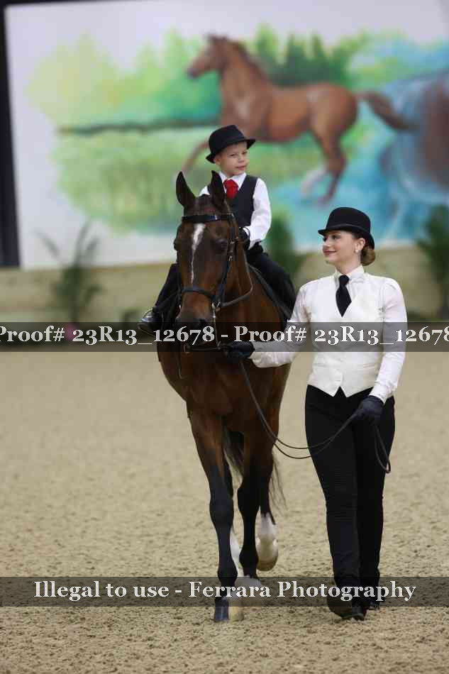 Proof 23R13_12678