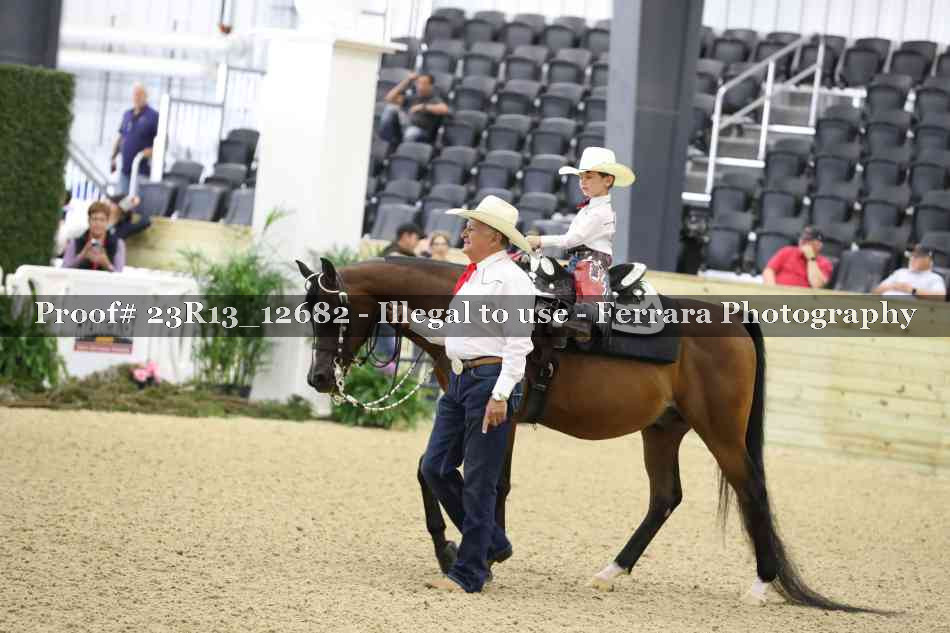 Proof 23R13_12682