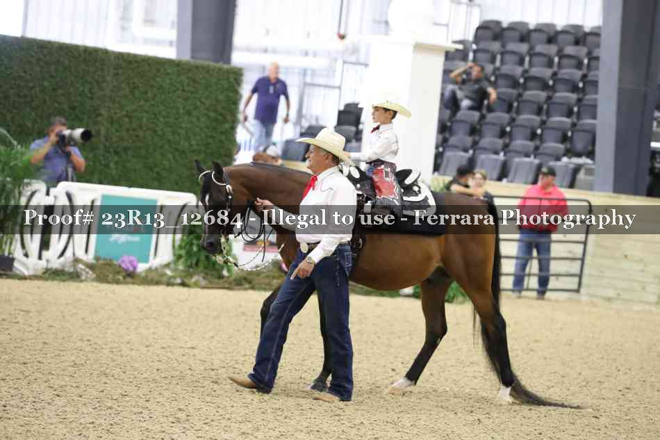 Proof 23R13_12684