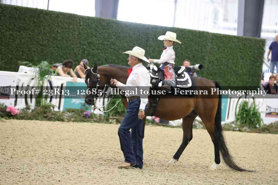 Proof 23R13_12685