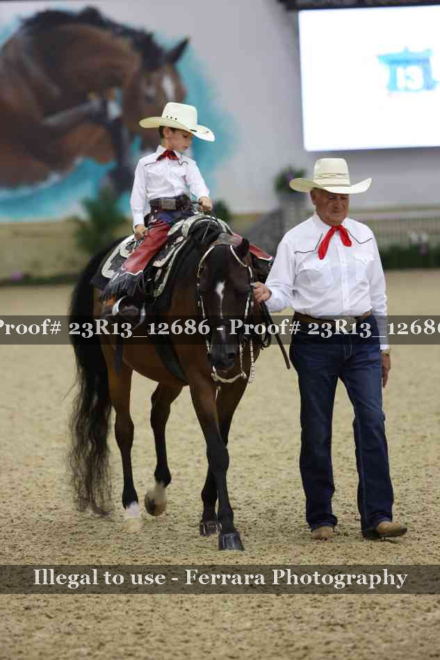 Proof 23R13_12686
