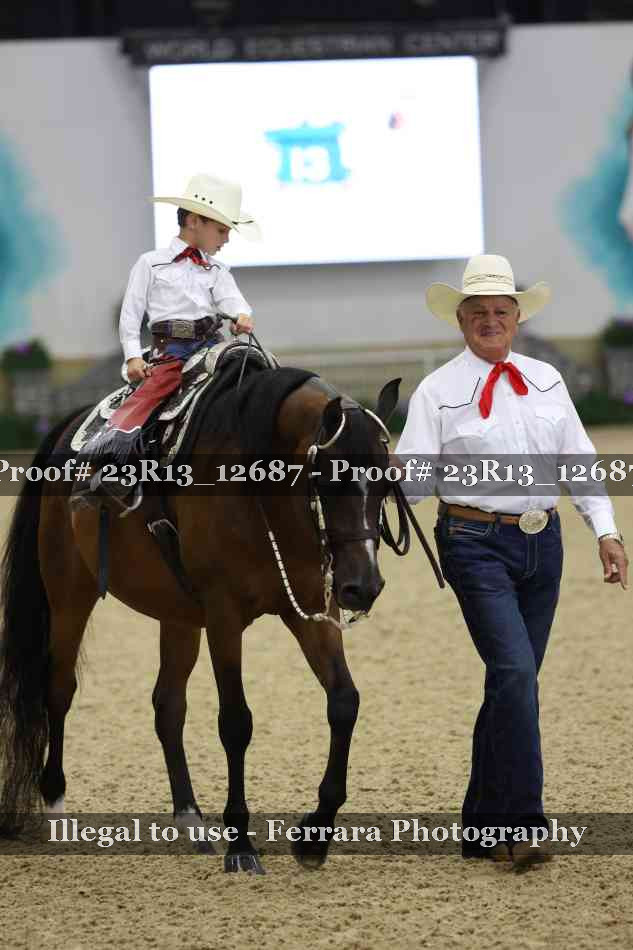 Proof 23R13_12687