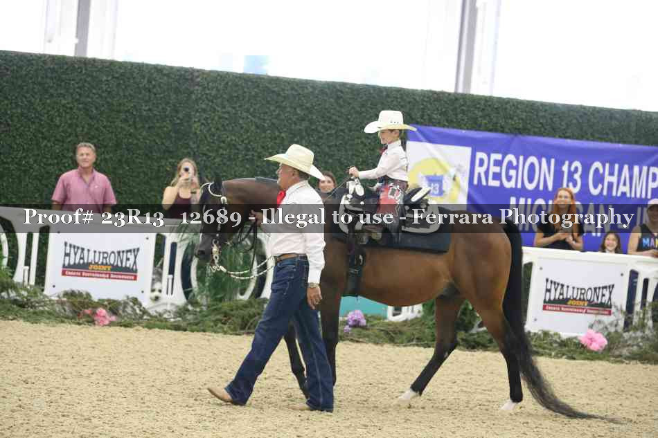 Proof 23R13_12689