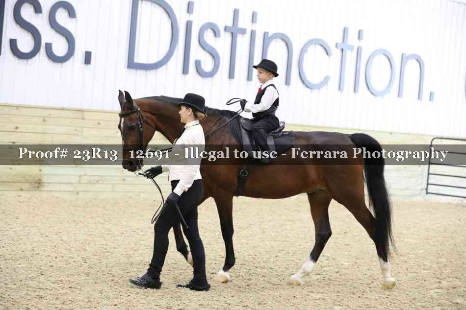 Proof 23R13_12691