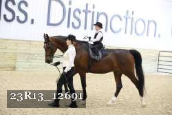 23R13_12691 proof