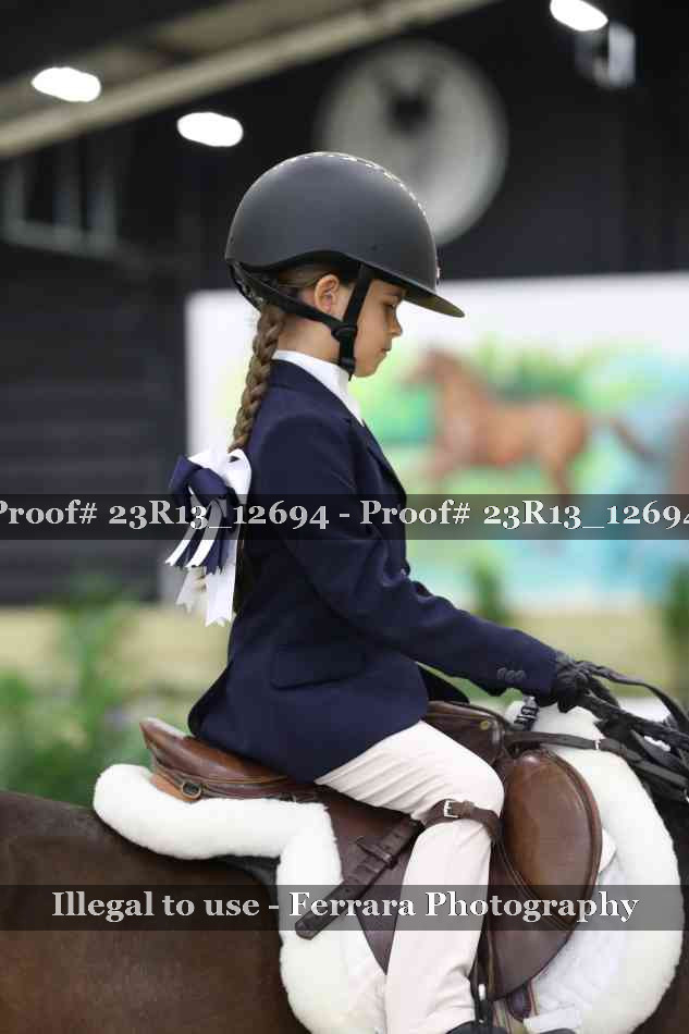 Proof 23R13_12694