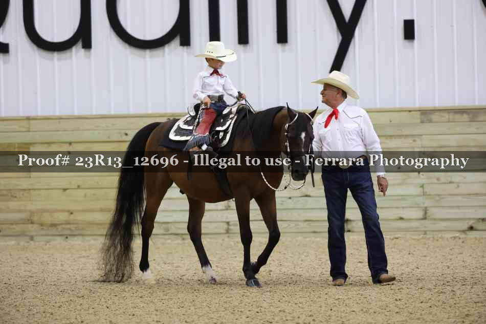 Proof 23R13_12696