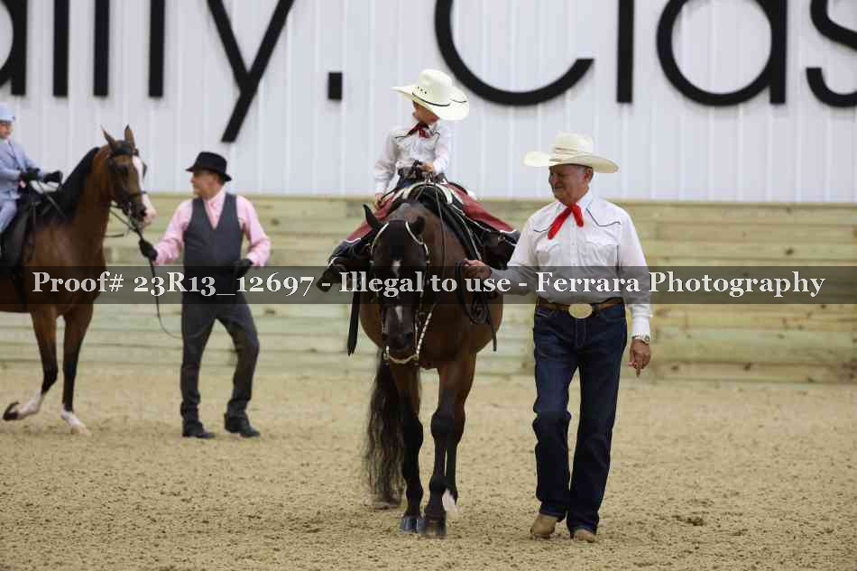 Proof 23R13_12697