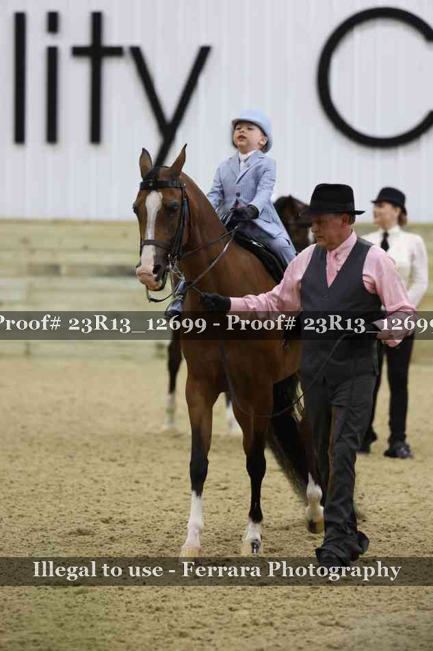 Proof 23R13_12699
