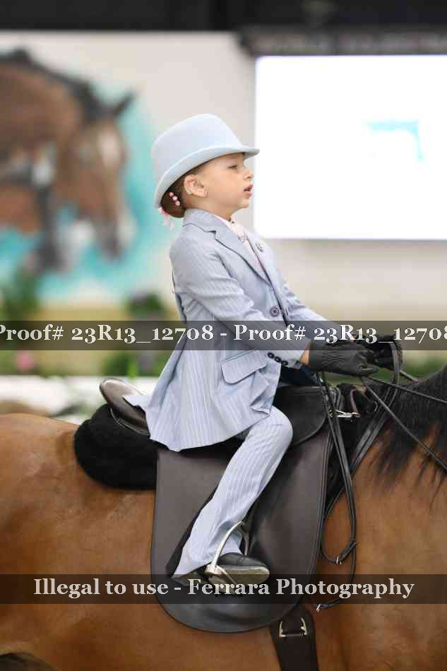 Proof 23R13_12708