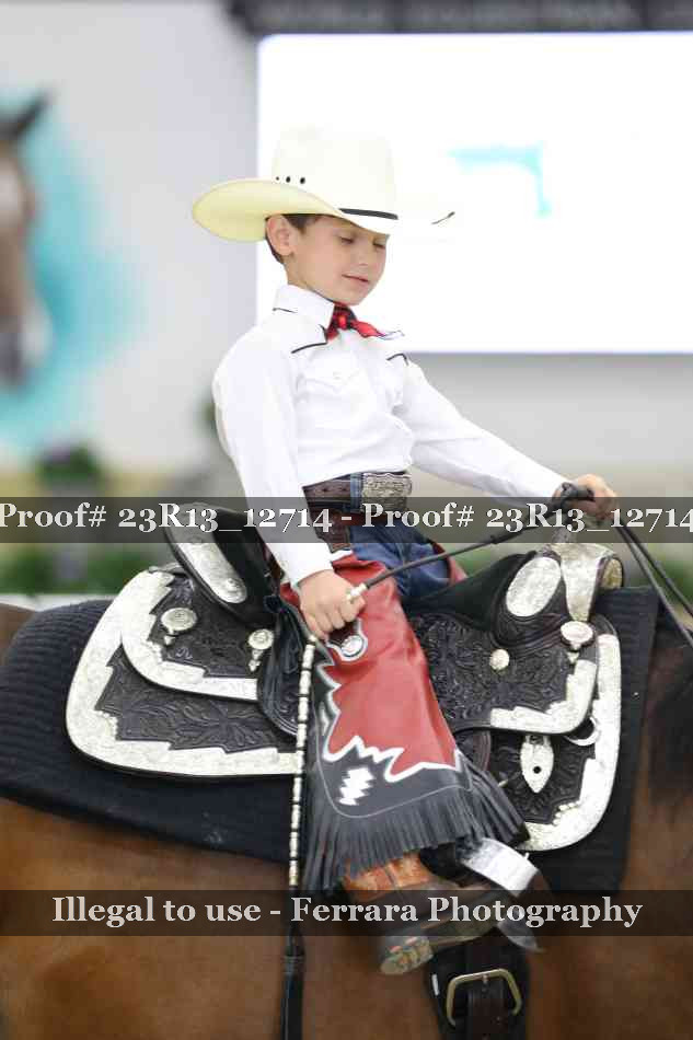Proof 23R13_12714