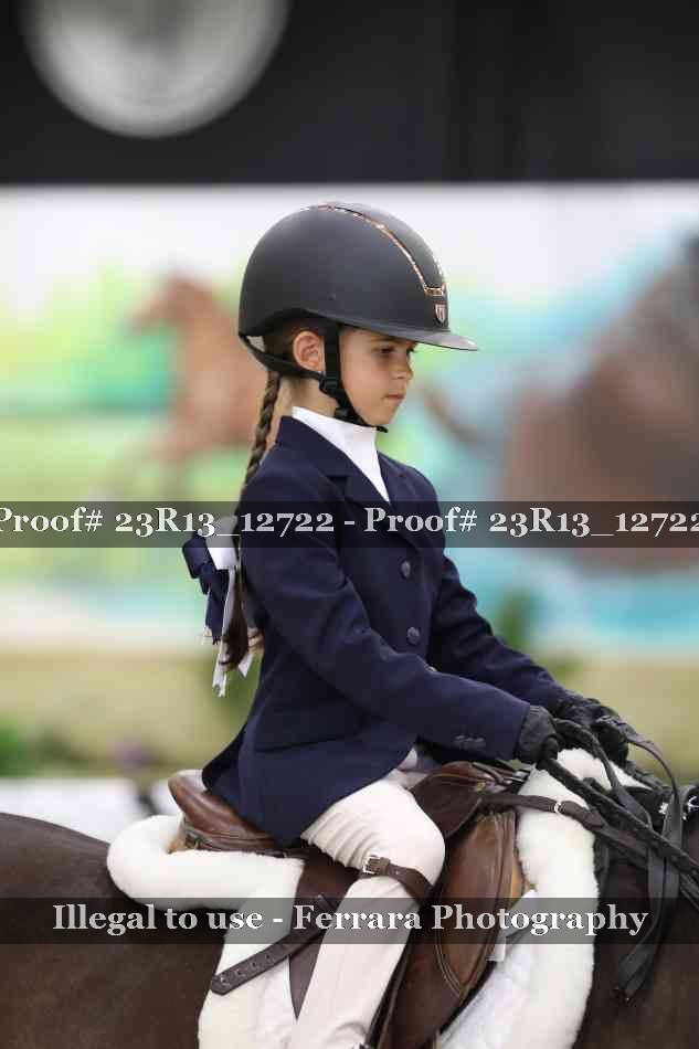 Proof 23R13_12722
