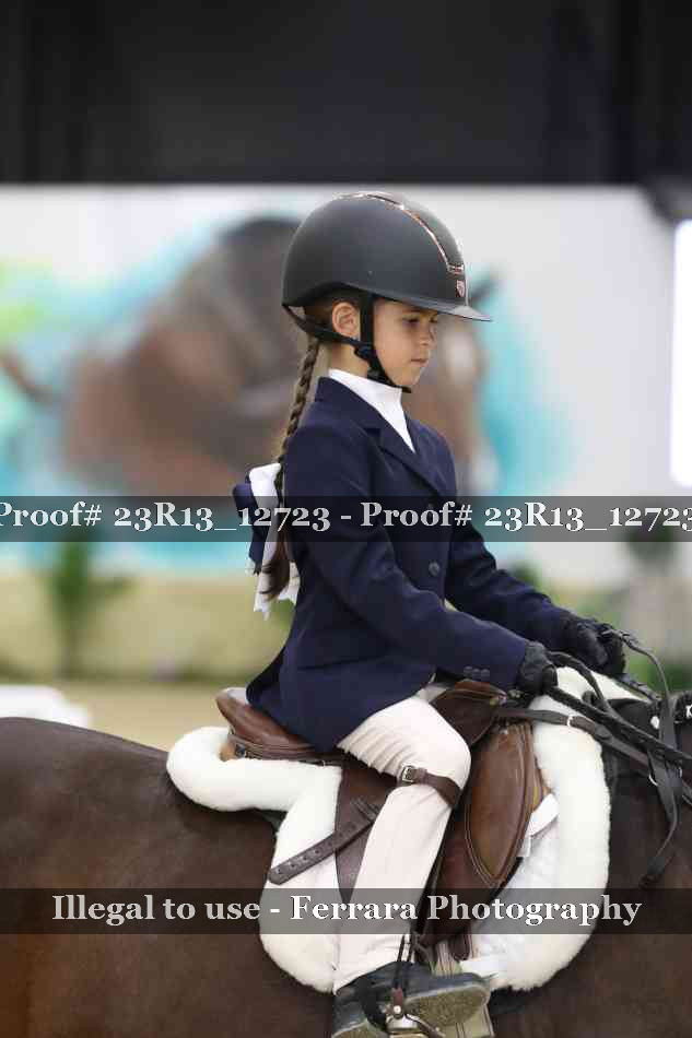 Proof 23R13_12723
