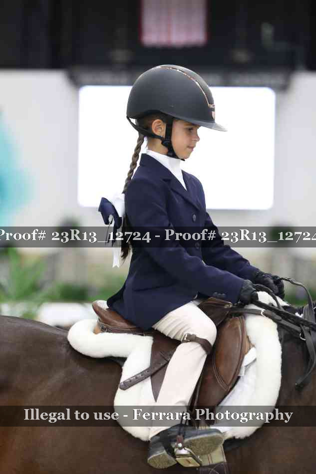 Proof 23R13_12724