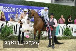 23R13_12736 proof