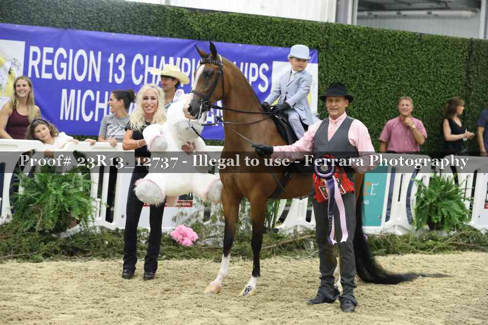 Proof 23R13_12737