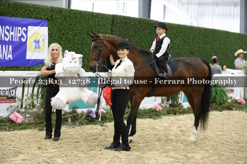 Proof 23R13_12738