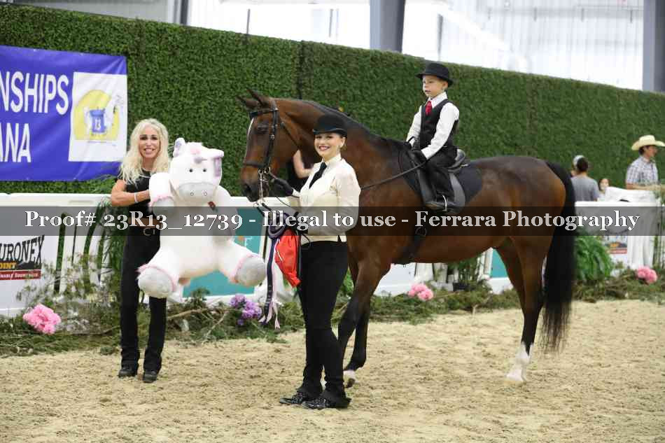 Proof 23R13_12739