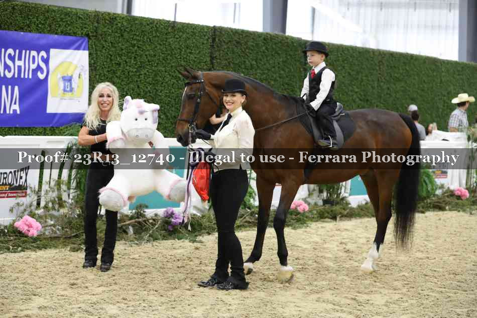 Proof 23R13_12740
