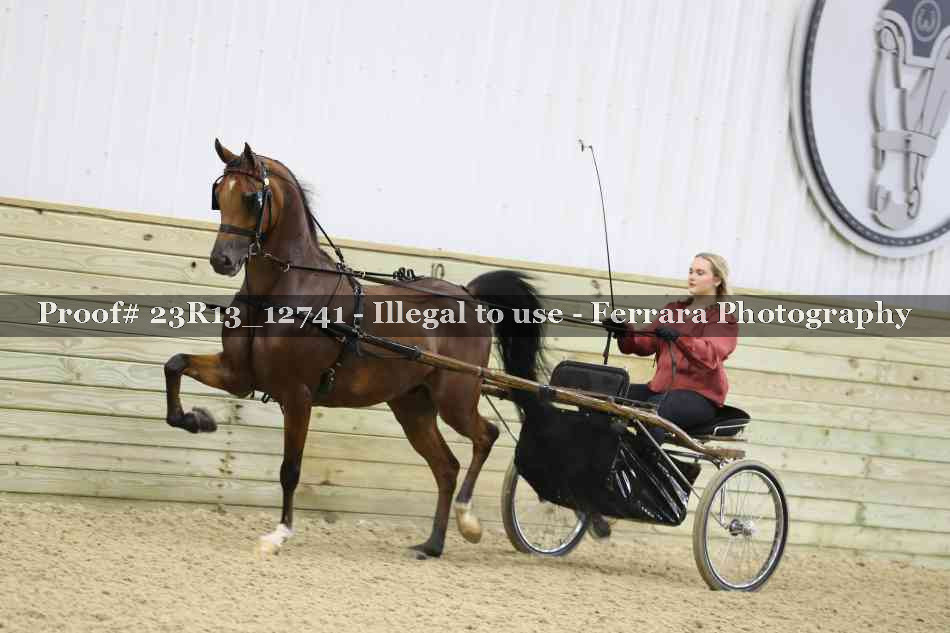 Proof 23R13_12741
