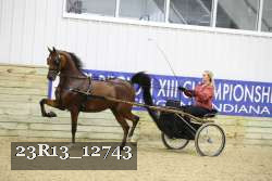23R13_12743 proof