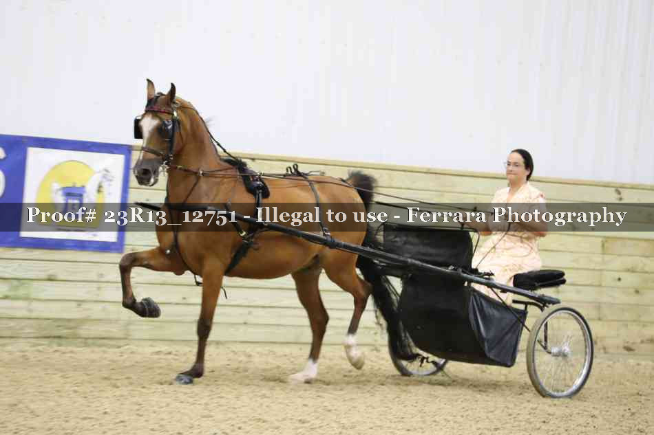 Proof 23R13_12751