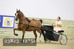 23R13_12751 proof
